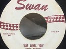 The Beatles PROMO? 45 rpm Record  SWAN 4152 She Loves You I'll Get You