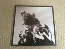 The Dead Weather : I cut like a buffalo 8