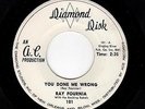SWAMP ROCK/DOOWOP-RAY FOURNIA W/ THE ROCKING REBELS-YOU DONE ME WRONG/SETTLE DOW