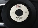 The Malibu's - Runaway / I'm Cryin' Garage Ripper On Quill