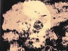 The Underground Youth - beautiful & damned