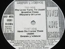 DREAM 2 SCIENCE * MY LOVE TURNS TO LIQUID * Classic House 12