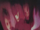 Pornography [VINYL], 8013252990236, The Cure