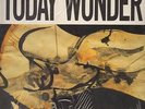 Ed Kuepper Today Wonder NEAR MINT Rattlesnake Vinyl LP
