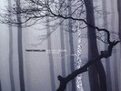 TRENTEMÖLLER - THE LAST RESORT 2 VINYL LP NEW