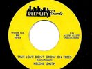 HEAR Helene Smith 45 RPM on Deep City 1967 True Love Don't Grow on Trees (Soul)