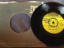 FAMILY rare UK 1969 DEMO PROMO / ROGER CHAPMAN / PROG ROCK / NEAR MINT 