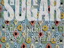 Bob Mould SUGAR 