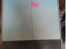 Wire Pink Flag (vinyl LP 1977 Harvest)