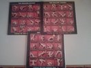 THE ROLLING STONES  FOXES IN THE BOXES VOL 1 - 3 LIMITED COLORED EDITION  3 X LP