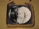 JUDY DYBLE - FRAGILE - 7