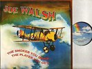 JOE WALSH the smoker you drink the player you get 201 346 german MCA LP EX/EX-