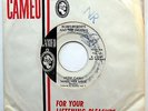 BOBBY ROBERTS & RAVONS 45 How Can I Make Her Mine PROMO Garage ROCKER w6152