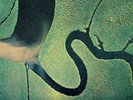 PunkWave A-S LP 12 - DEAD CAN DANCE - THE SERPENT'S EGG - Rough Trade D 1988 EX