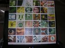 PEARL JAM No Code Opened not played LP Vinyl1996 Epic 67500D SET FOLD OUT