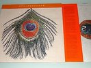 XTC – Homespun - 180g Vinyl LP - Original first pressing 1999