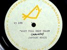 RANDY NEWMAN WAIT TILL NEXT YEAR INSANELY RARE ORIG 1966 10