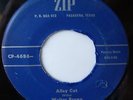WALTER BROWN - alley cat/jelly roll rock,ZIP,US, ORIGINAL,SUPERZUSTAND,very good