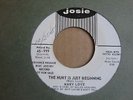 Mary Love The hurt is just beginning US Josie promo