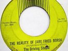 THE DRIVING STUPID Horror Asparagus Stories 45 RARE GARAGE on KR
