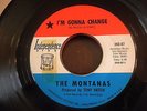 THE MONTANAS I'm Gonna Change INDEPENDENCE SUNSHINE POP SOUL 45 A Step In HEAR