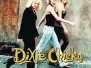 DIXIE CHICKS - WIDE OPEN SPACES  VINYL LP NEU