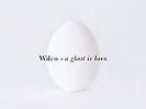 Wilco A GHOST IS BORN 180g Gatefold NONESUCH RECORDS New Sealed RHINO VINYL 2 LP