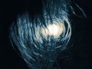 ORANSSI PAZUZU - Värähtelijä  DLP  ORANGE