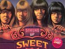 SWEET - STRUNG UP (FULL COLOUR VERSION) 2 VINYL LP NEW+