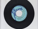 TOTAL SOUNDS/ HIGHER RANGE  -  HORACE ANDY  (70  REGGAE ROOTS 7