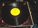 record LP very rare The Distortions   The Litter on Warick 671 psych rock