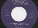 The MYSTICS i really love you 45 killer NORTHERN SOUL chicago MOD dancer HEAR ?