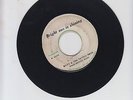 SPACE SETTERS/ BRIGHT SUN IS SHINING - RILEY & THE TRYING BROTHERS(70' ROOTS 7