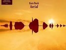 Kate Bush Aerial Double Vinyl Album Immaculate Copy  Rare  ** VINYL LP **