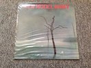 NEW MODEL ARMY - Demos for Thunder and Consolation LP (Vinyl)