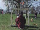 An Introduction To Syd Barrett (2-LPs)