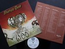 LP STATUS QUO ITALY PROMOTIONAL STICKER ON VERTIGO SWIRL LABEL 1974 + INNER