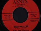 RUBY RAE ROBERSON: What Will I Do 45 Soul