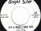 Ricky Allen 45 It's A Mess I Tell You / Skate Boo-Ga-Loo (Northern) 1967 Bright