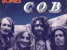 C.O.B.: Blue Morning (very rare orig. 1972 German FOLK/PROG 7