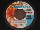 Soul In-Pressions 45 Zing-Girl Don't Worry RARE Detroit soul FUNK 7