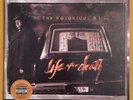Notorious BIG 