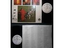 Rush - Signals Asian LP #1 LM-3193 diff cover