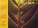 Lifetones - For a Reason - Sealed LP Record This Heat