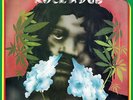 Page One & The Observers - Rock-A-Dub