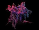 Au Revoir Simone - Move In Spectrums