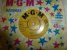 THE STEREOS  I REALLY LOVE YOU RARE 1961 MGM 7