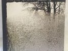 Bon Iver 'For Emma, Forever Ago' LP NM