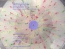Ash Ra Tempel Reunion Live Koln Germany 1973 Rare New Color 2-LP Set