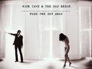 CAVE NICK & THE BAD SEEDS - PUSH THE SKY AWAY